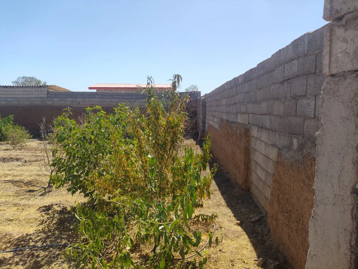 فروش باغ