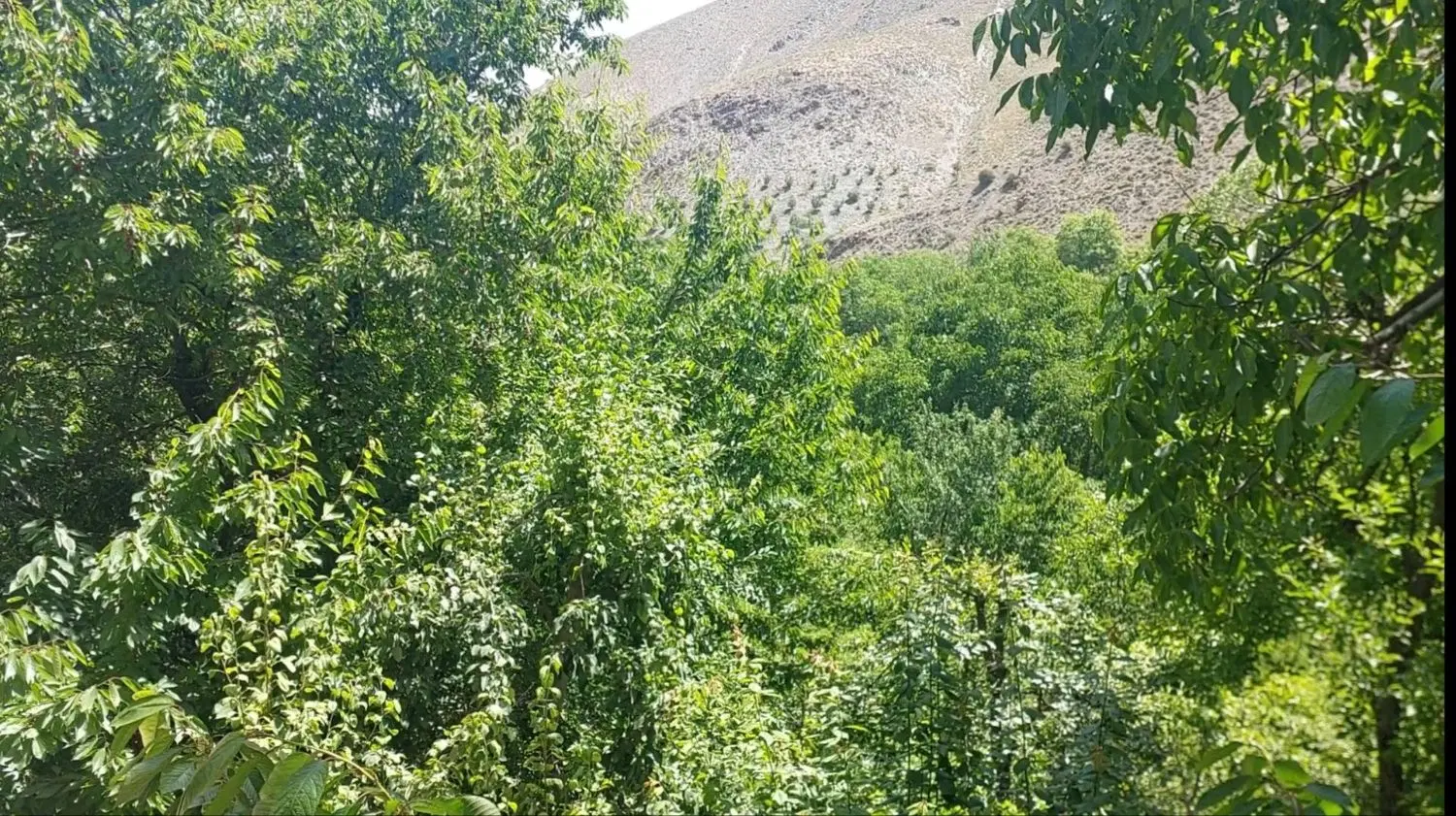 اجاره باغ ویلا،دولت آباد،شیرباد،پیست اسکی