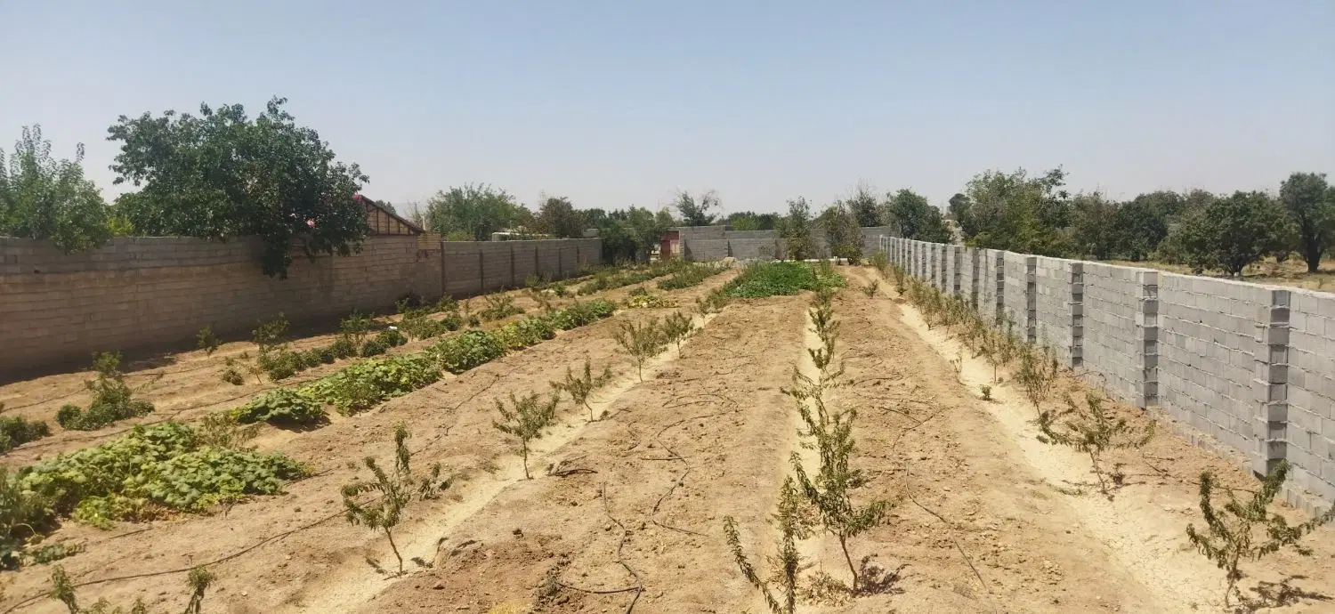 زمین باغی در قلعه سفید