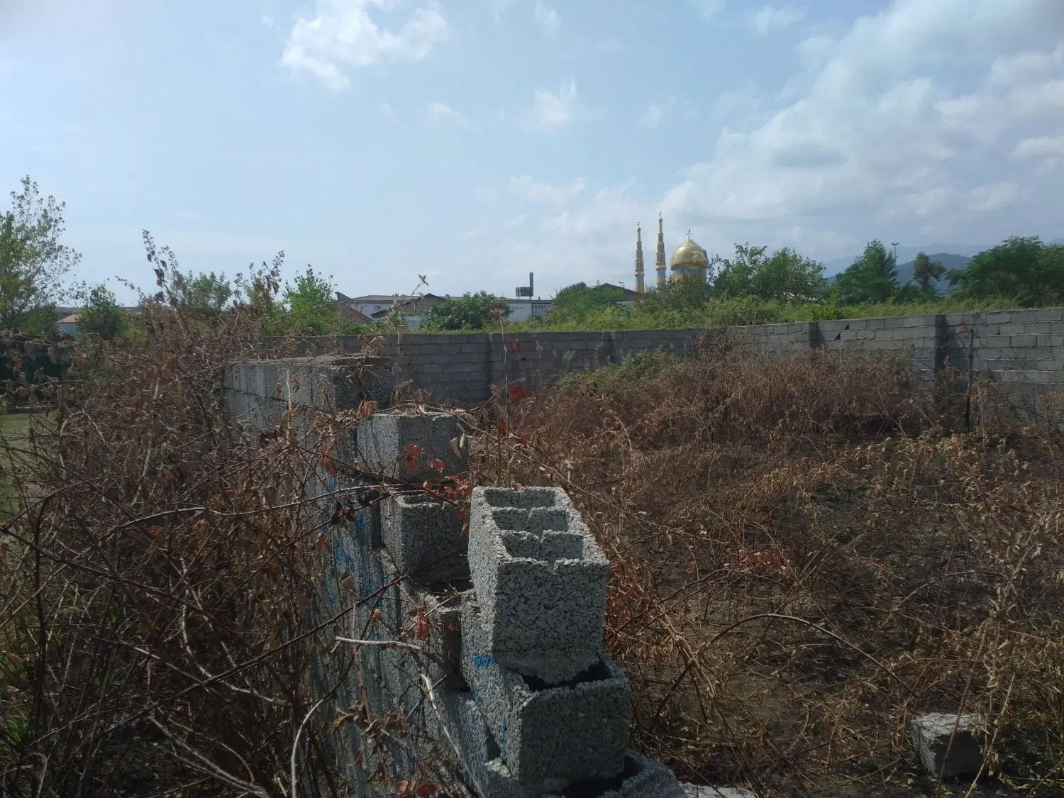 زمین سند باغی