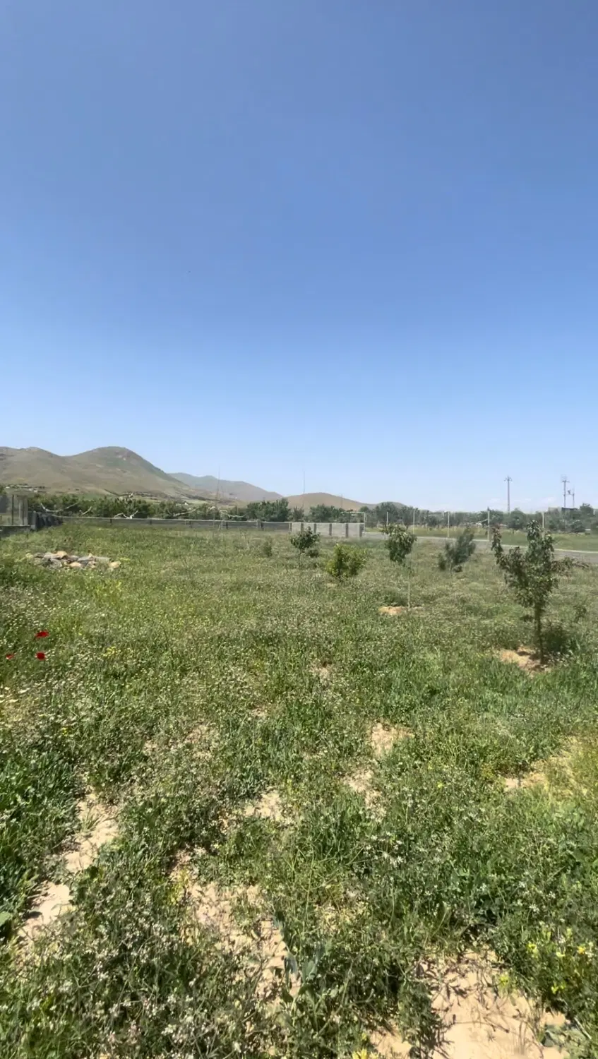 باغ خشکه دول
