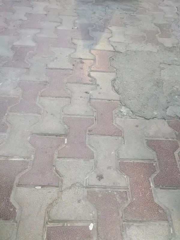 زمین کارخانه نمک