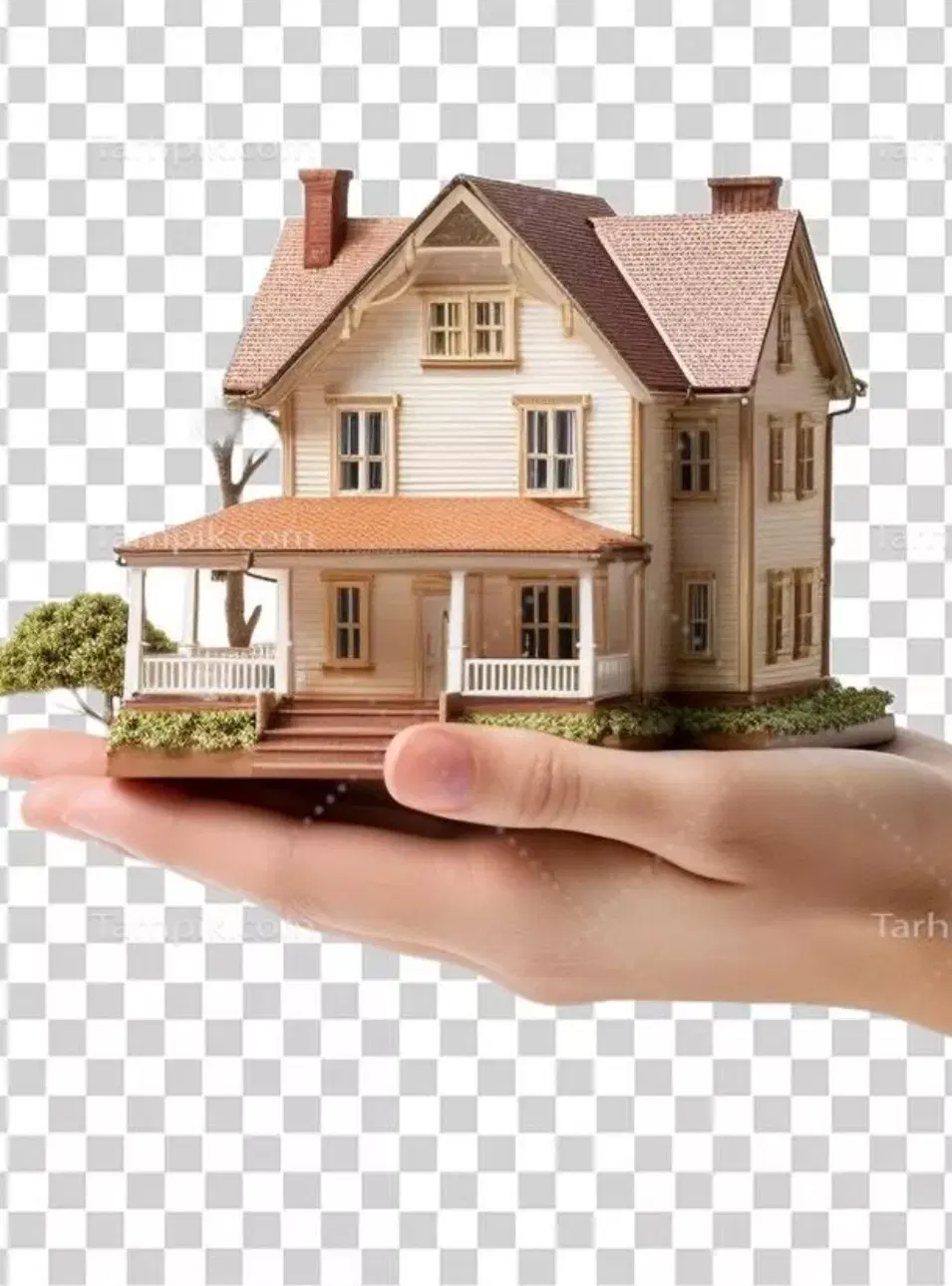 زمین فروشی بر اصلی سبطی