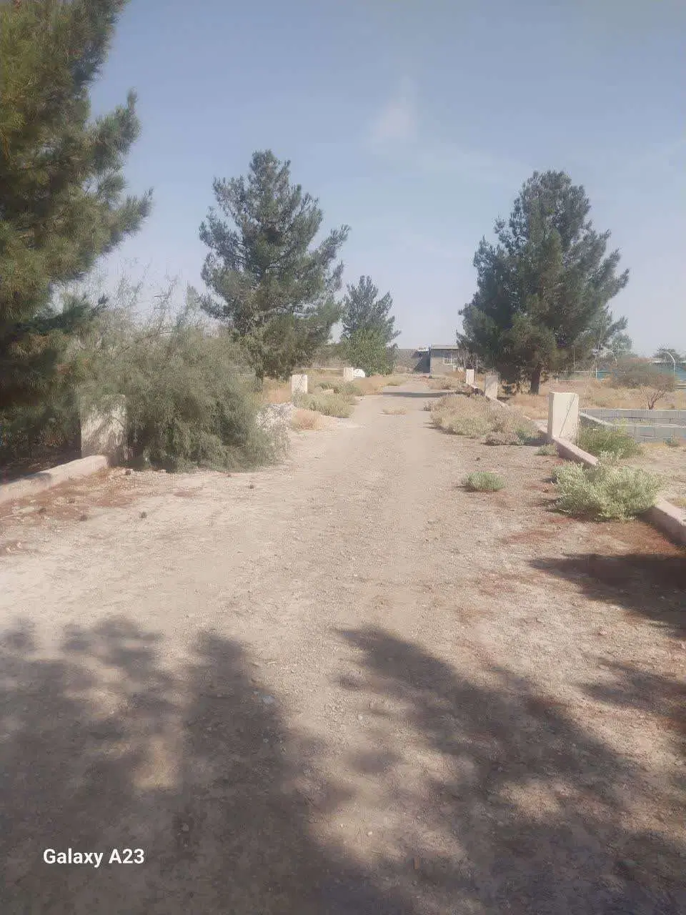 فروش باغ محصور