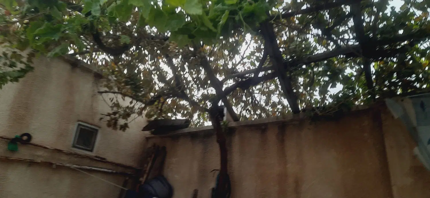 یک باب منزل