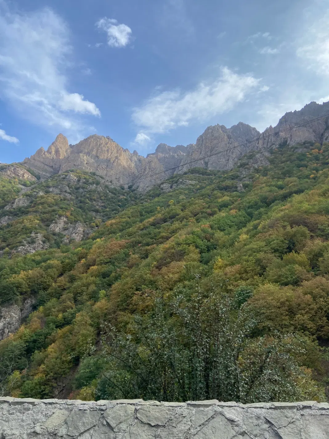باغچه