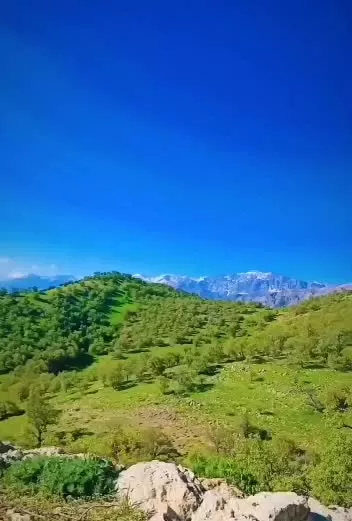 ۲۵۰۰مترزمین ویلایی قلات روخیابون اصلی داخل طرح