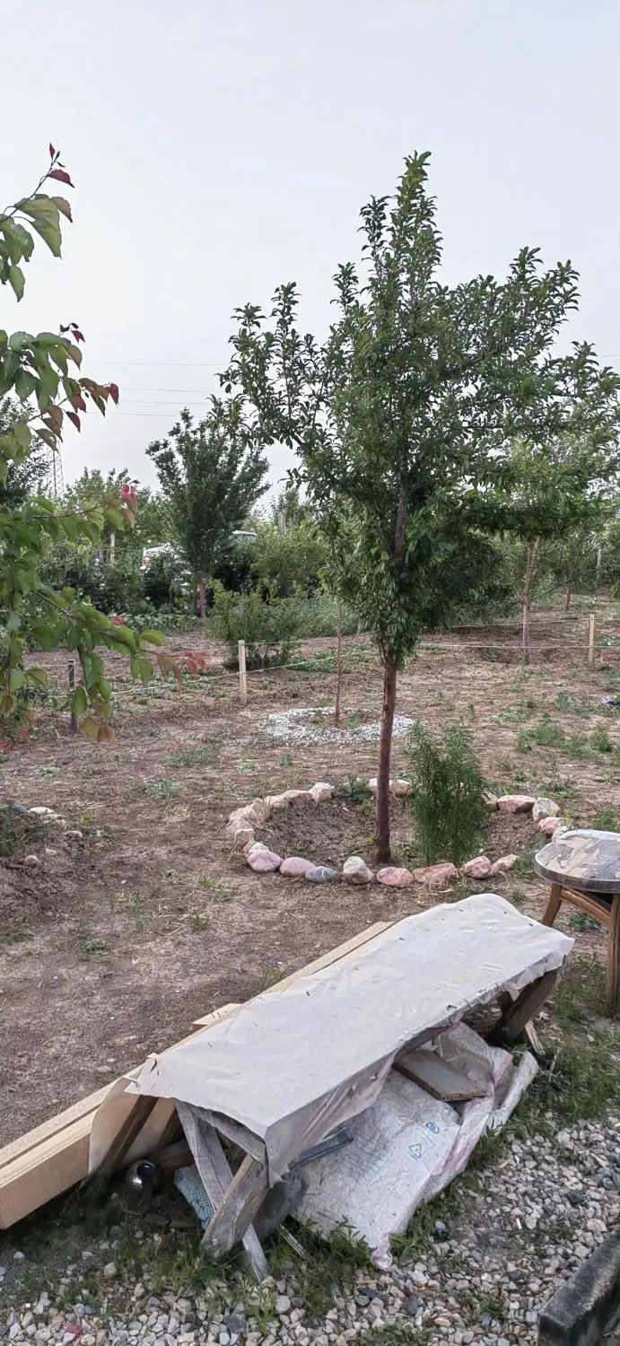 باغ اول جاده روانسر 500 متری