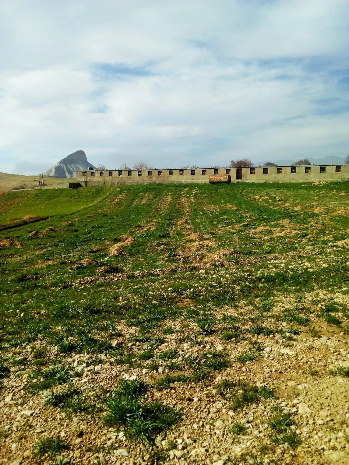 زمین زراعی
