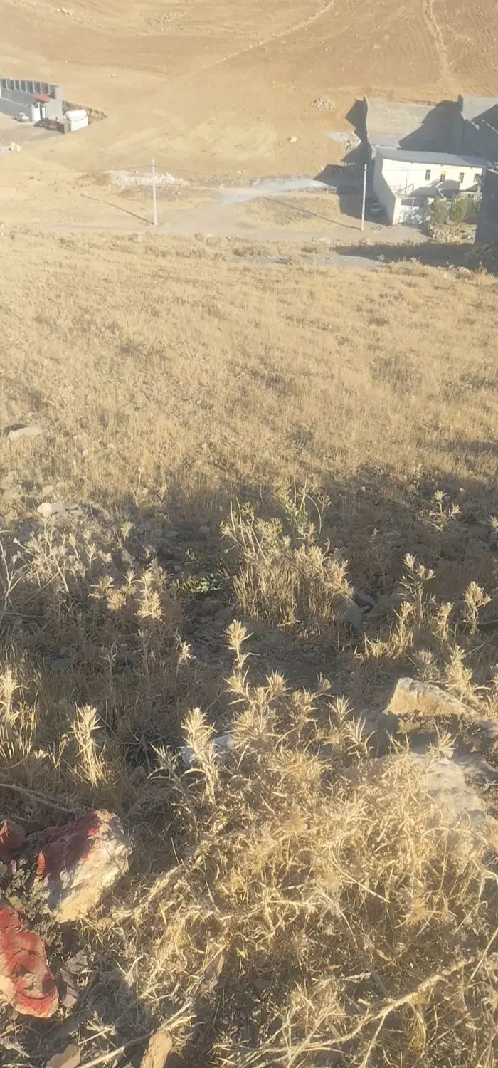 زمین چشمه سفید ( مهر شهر )