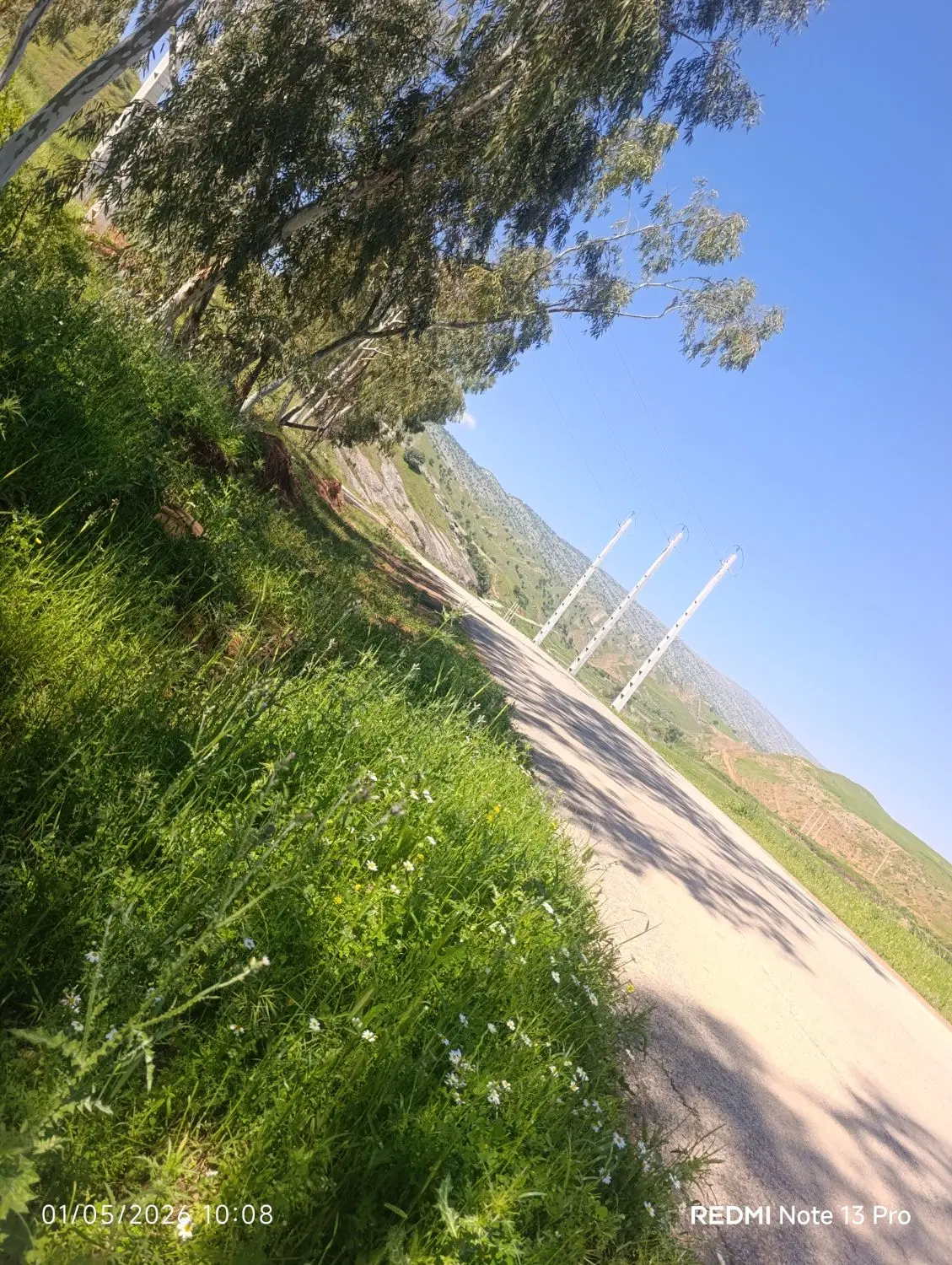 زمین فرزند آوری