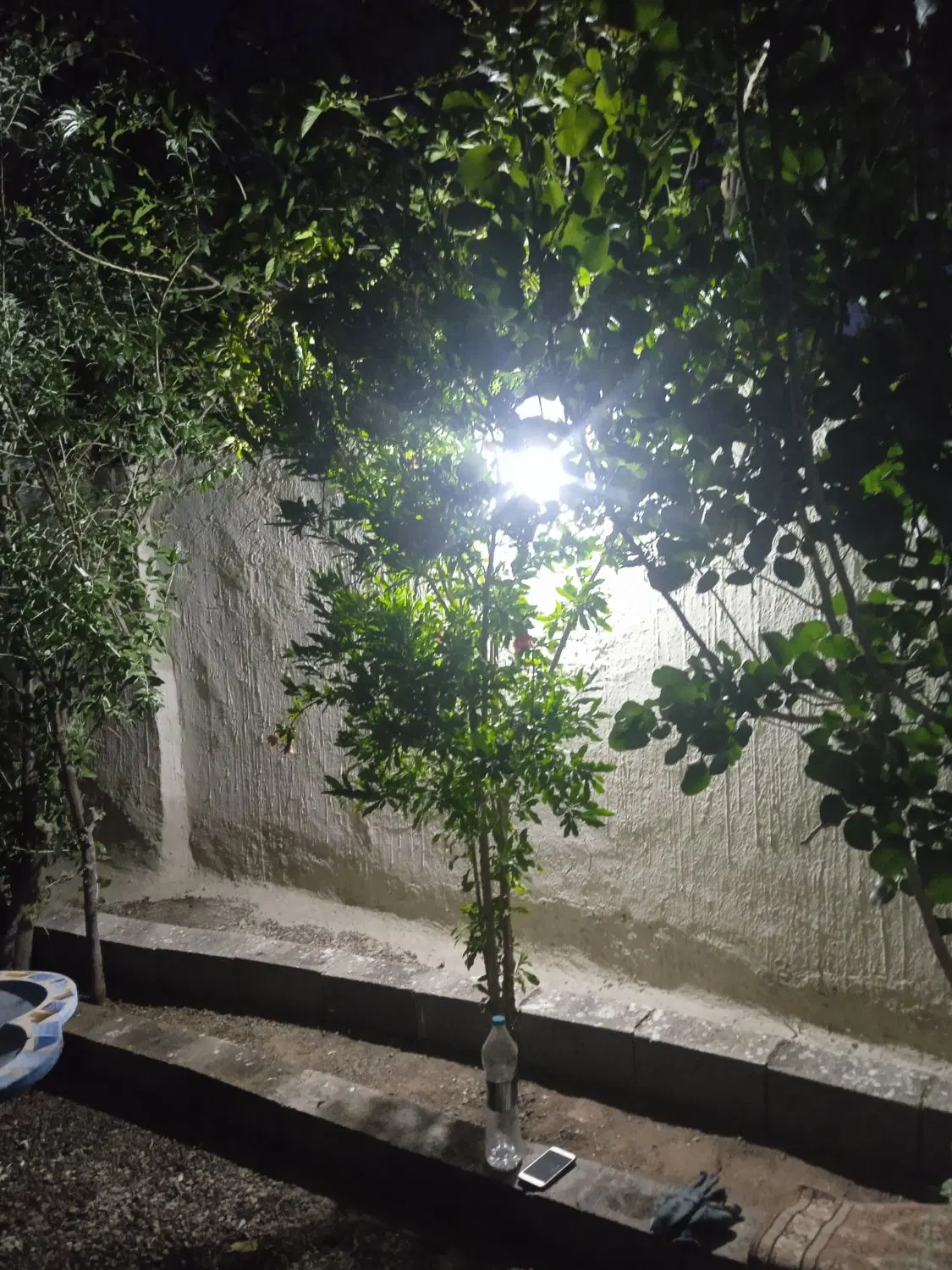 اجاره خونه باغ در اران بیدگل