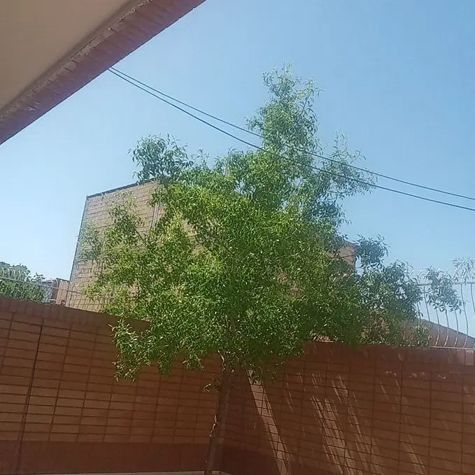 اجاره خانه  واقع در زین شهر
