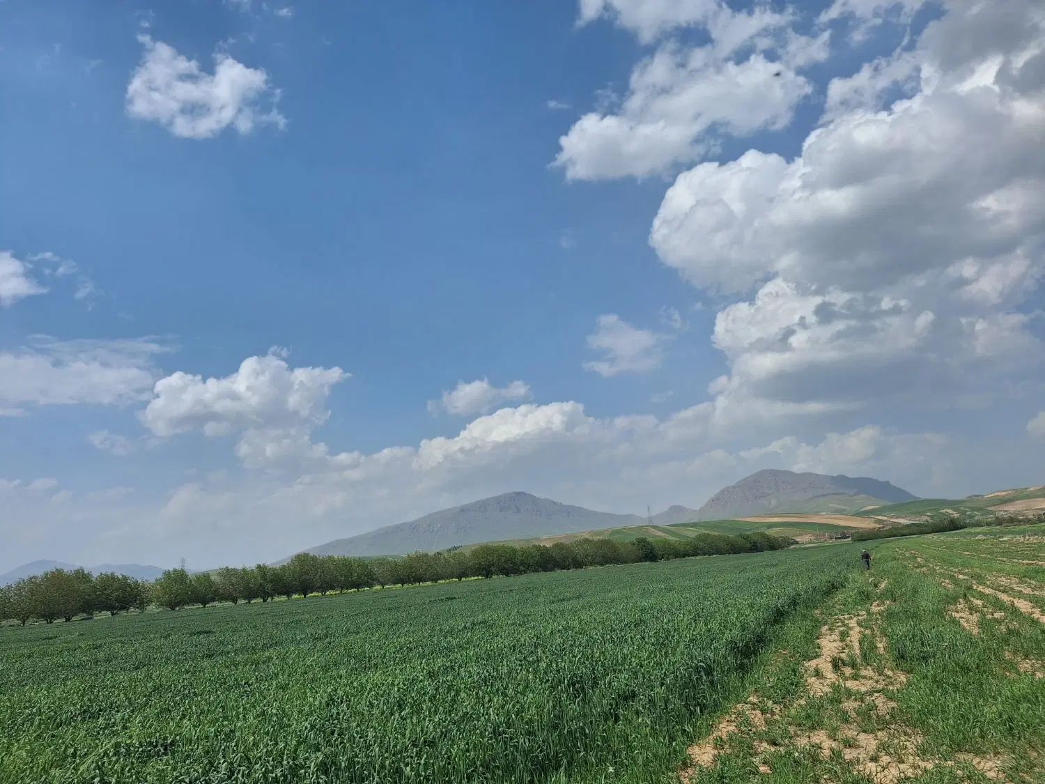 زمین کشاورزی و کارخانه دانه بندی شن و ماسه