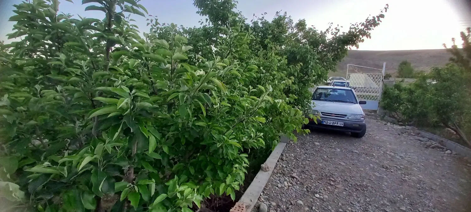 باغچه الوان