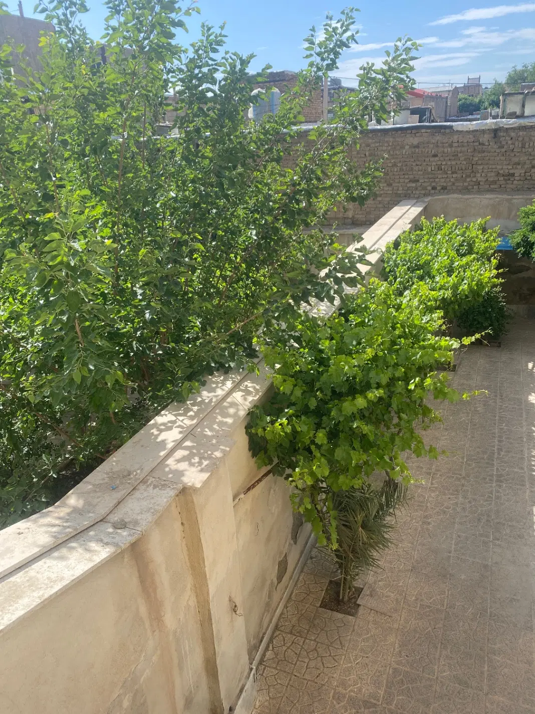 اجاره منزل مسکونی