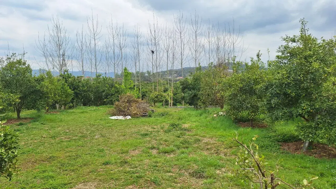 زمین ۱۱۵۰ متر در شیرگاه