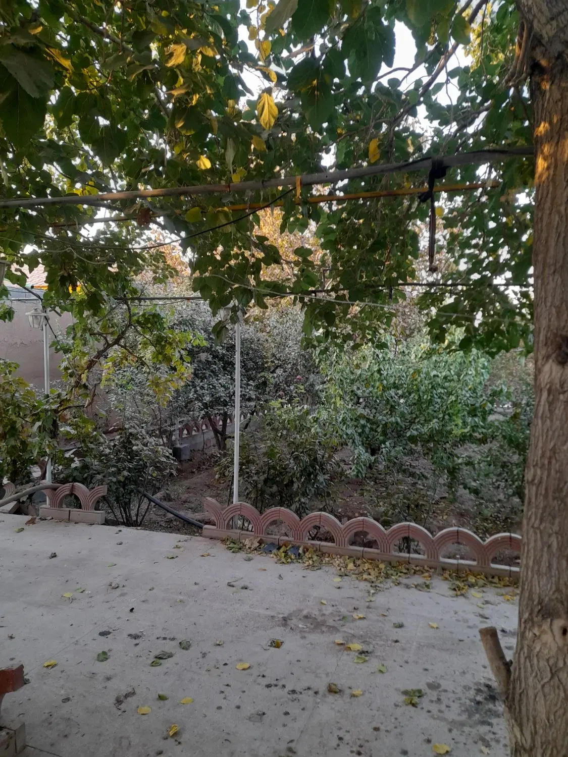 باغ ویلایی 2550متری واقع در کوشک