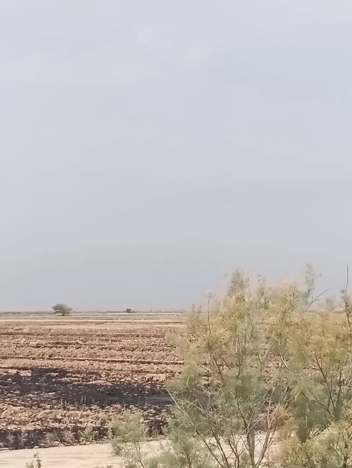 اجاره زمین