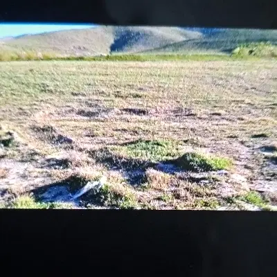 فروش زمین دو بهر به مساحت ۶۰۰ متر