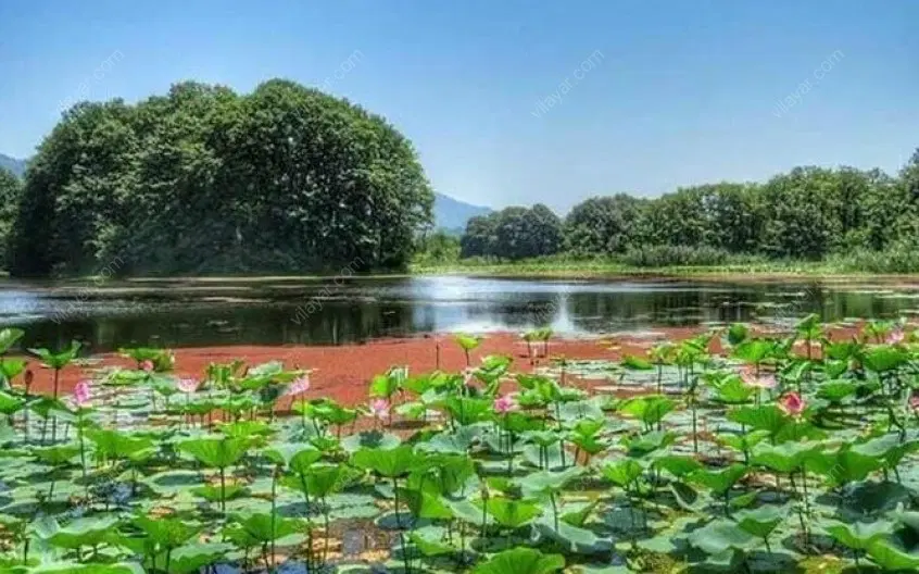 کلا با ۳میلیارد صاحب ویلا شو