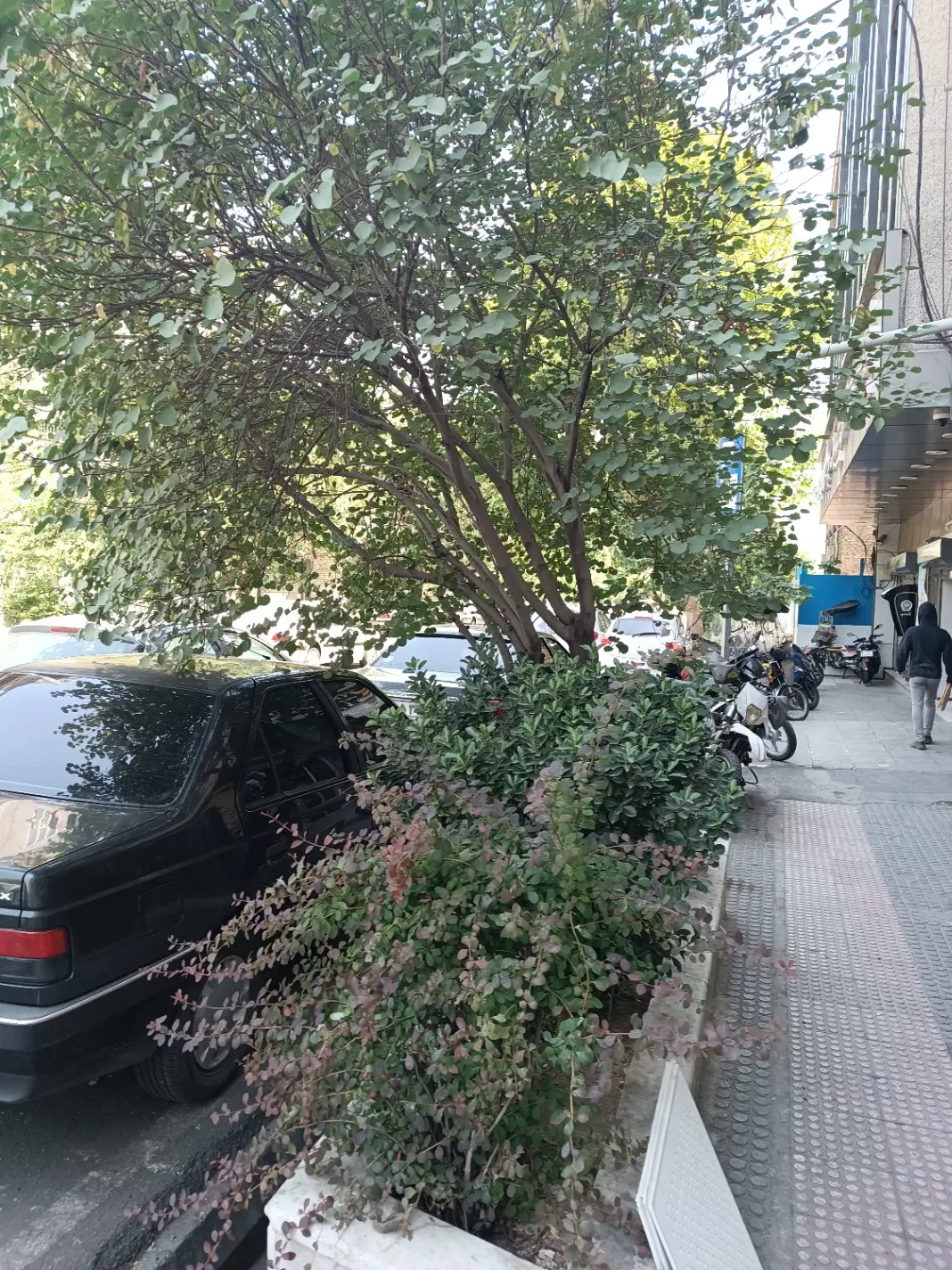 منزل مسکونی اوحدی و تجاری