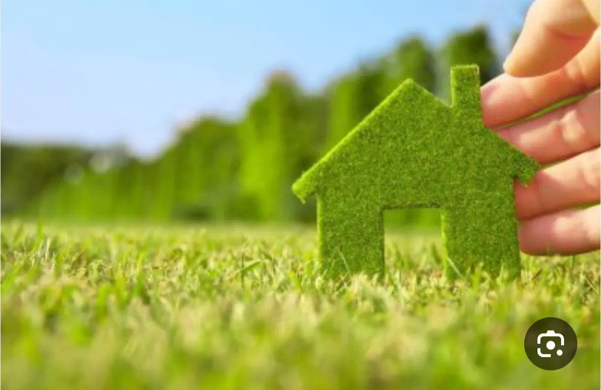 زمین سبزعلی بابا در چوبیندر