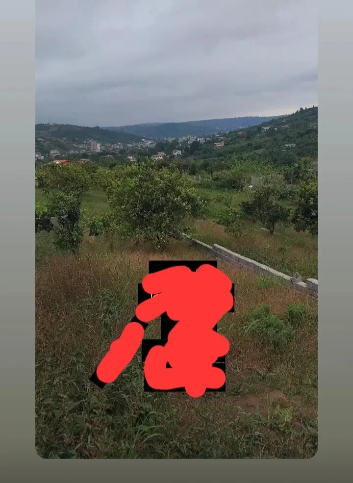 زمینی واقع در مرزیکلا
