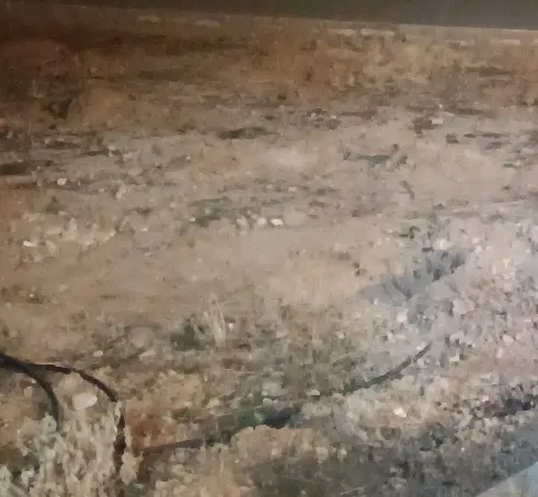 زمین کفری