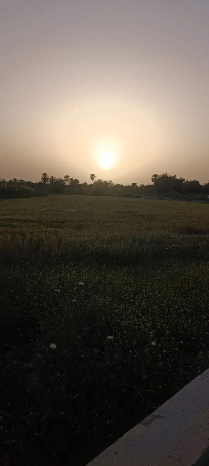 زمین مسکونی