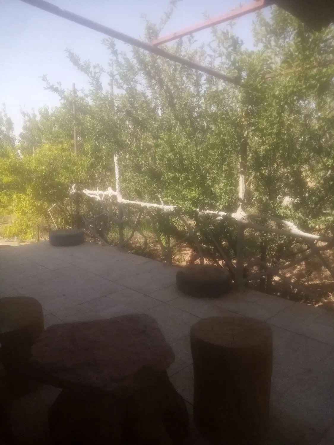 فروش باغ وزمین باغی
