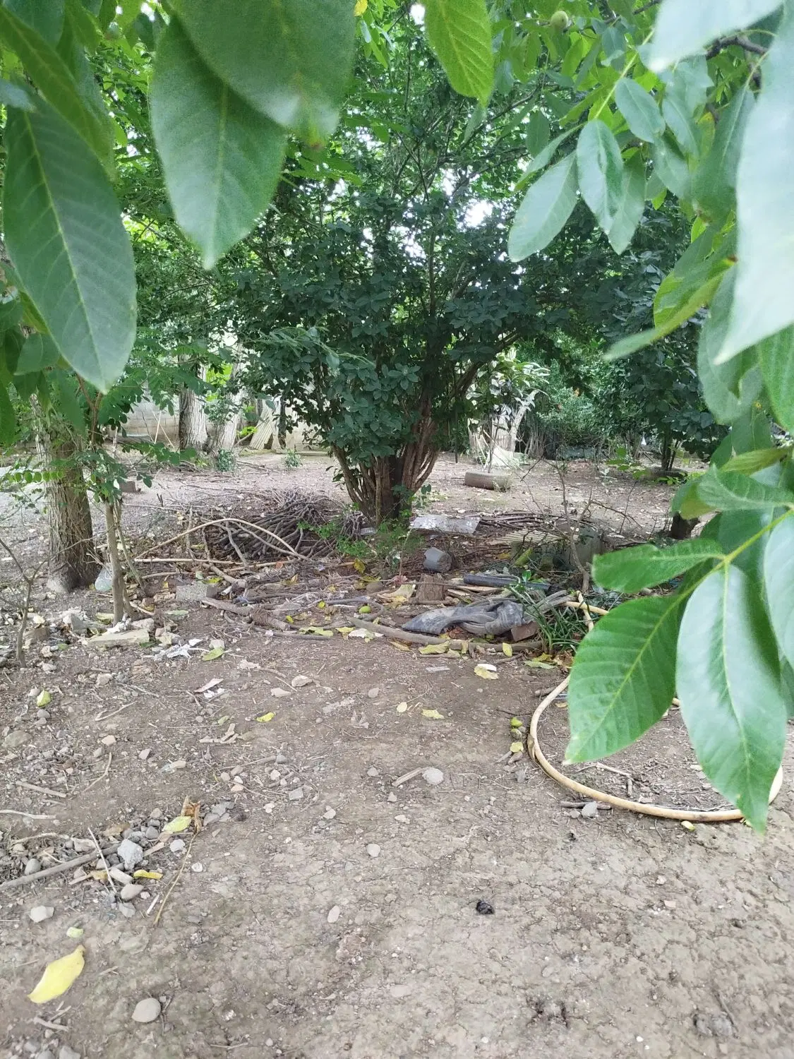 فروش زمین کاربر مسکونی لیالمان