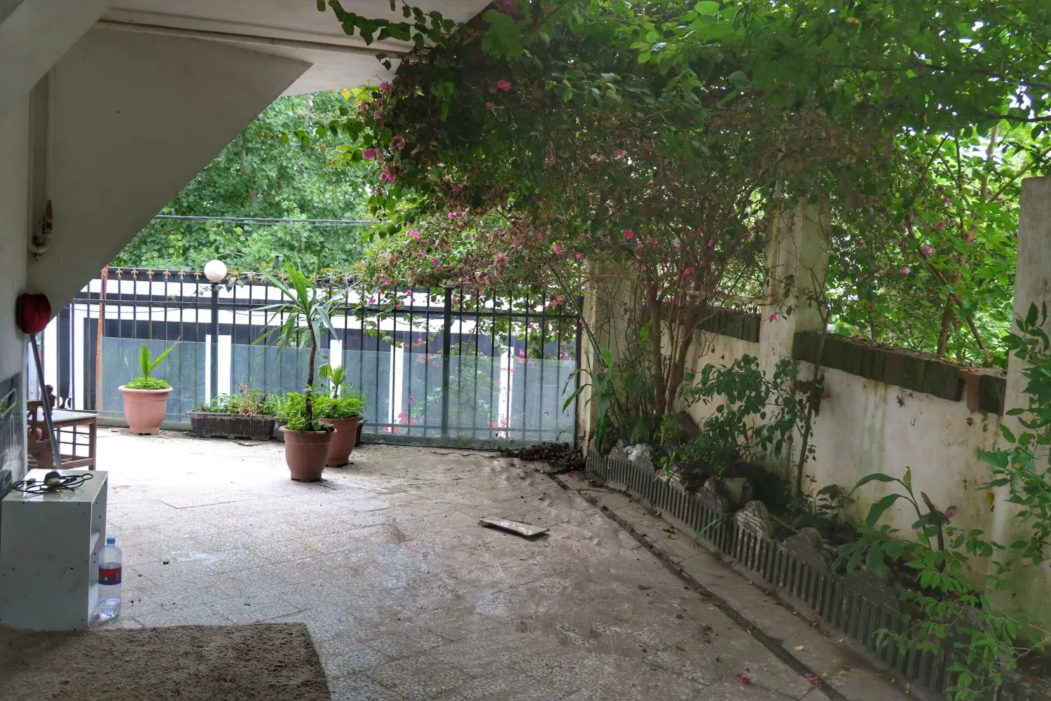 دربست جنگلی
