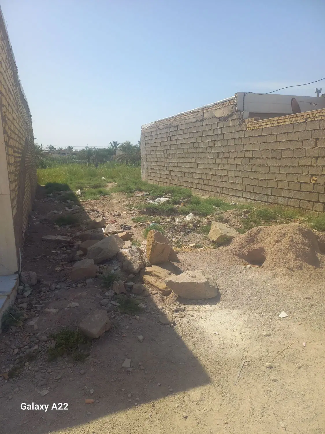 زمین ذوالفقاری