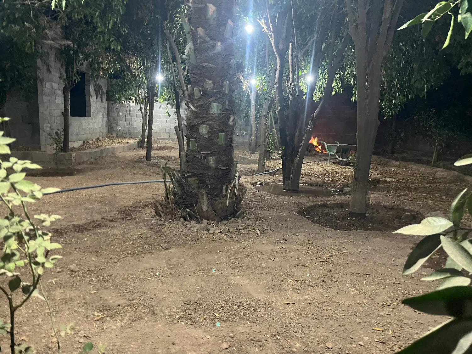 باغچه ۵۵۰ متری