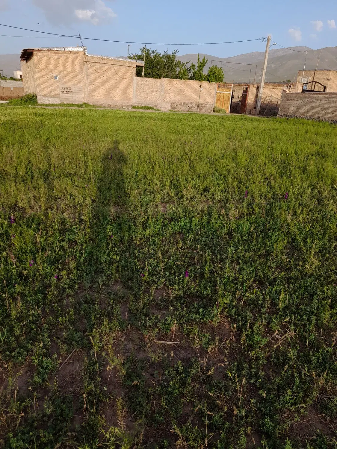 زمین در شهرستان سراب روستای مهین و تازه کند