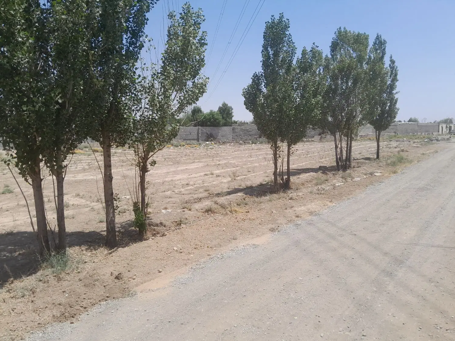 زمین باغ ۳۰۰۰ متر سند تک برگ