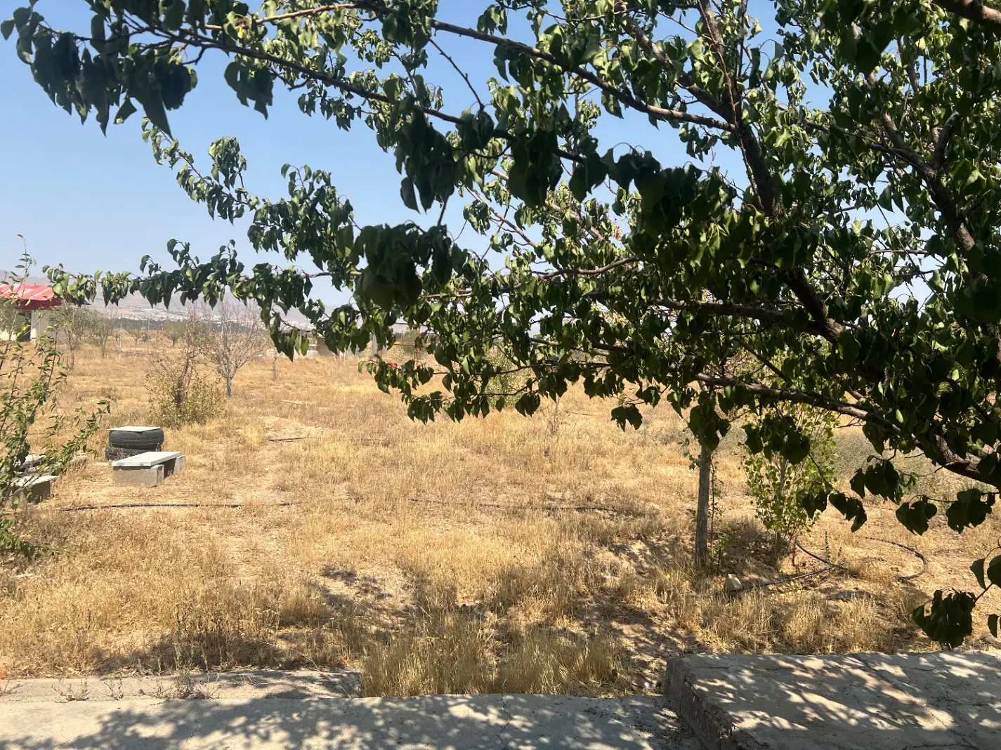 باغشهر رضوان، باغ رضوان