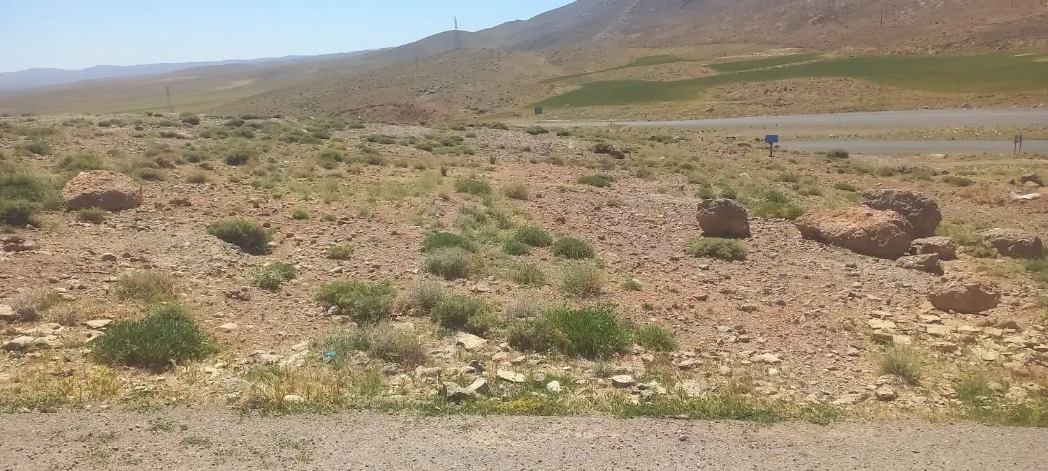 زمین تجاری۴۰متری شهرک طالقانی