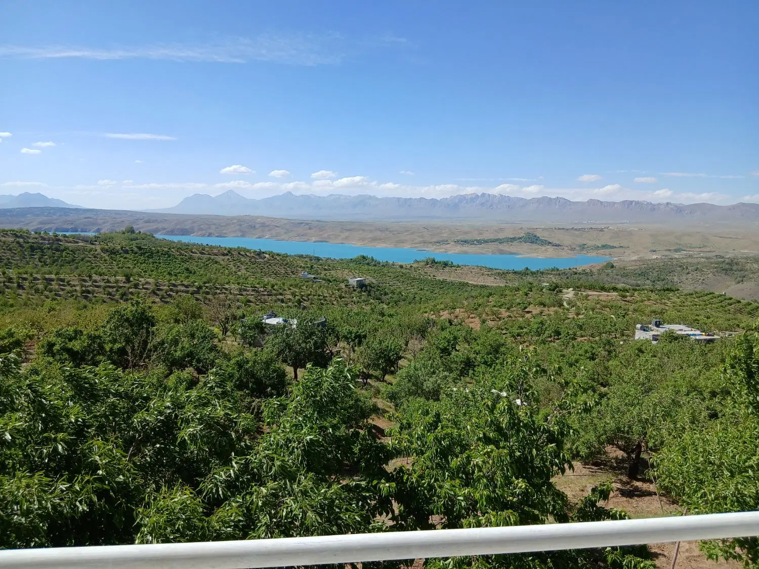 فروش باغ طرح گردو کاران یان چشمه