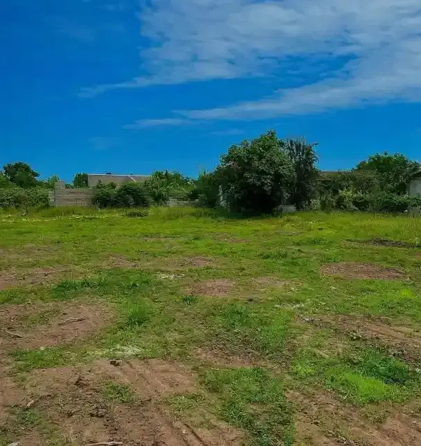 زمین مسکونی