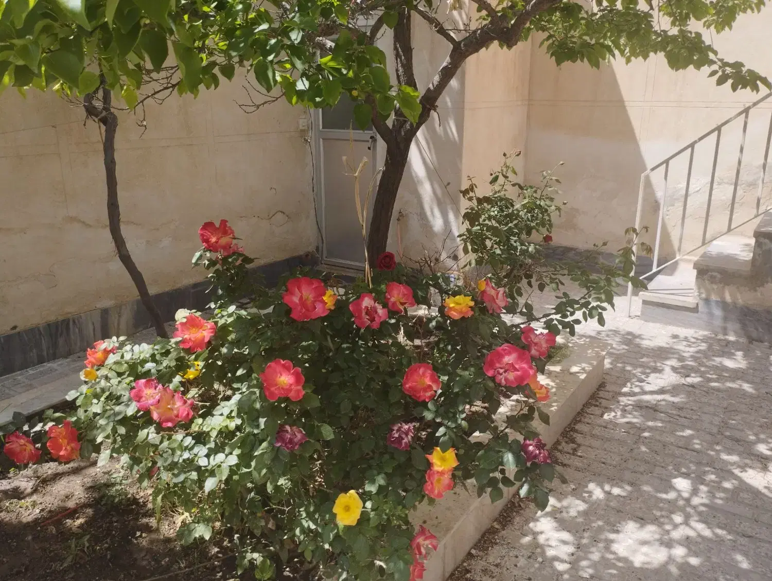 ویلایی 200 متری  راهنمایی ۹