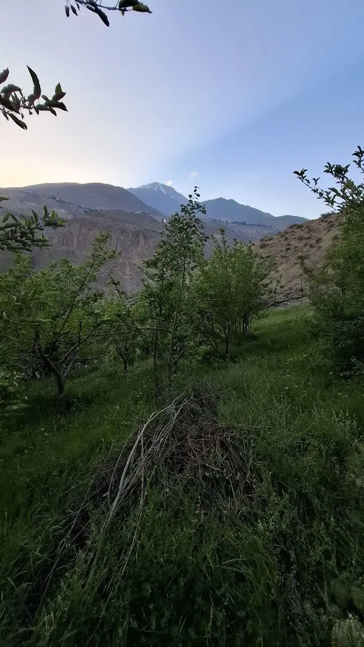 باغ ییلاقی با ویوی عالی دماوند