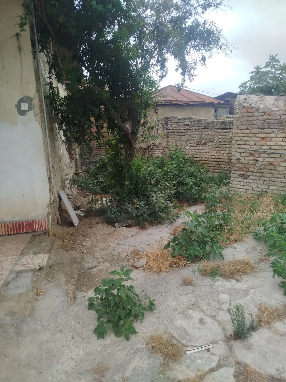 زمین و خونه کلنگی در روستای النگ