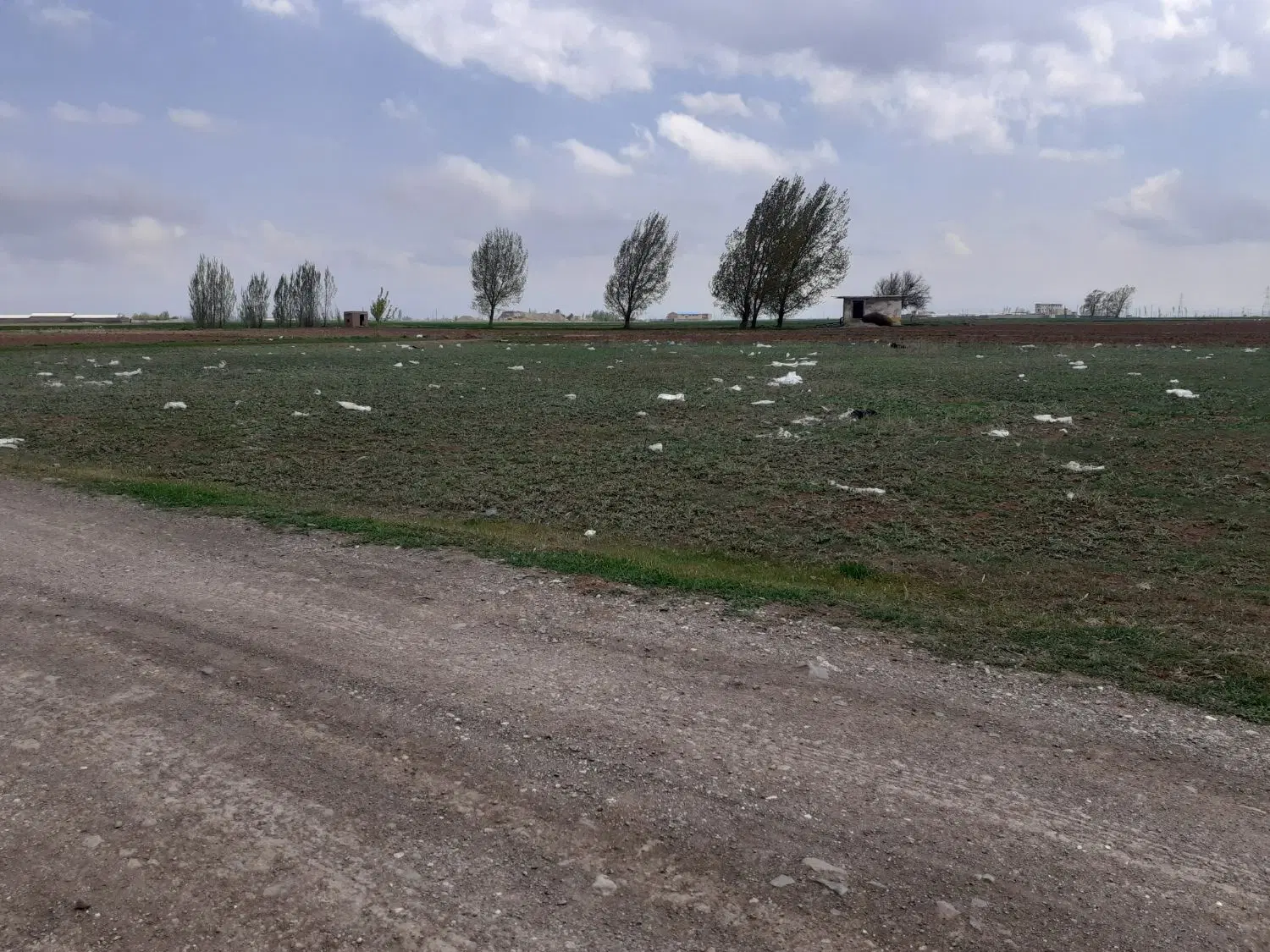 زمین فروشی بر اتوبان
