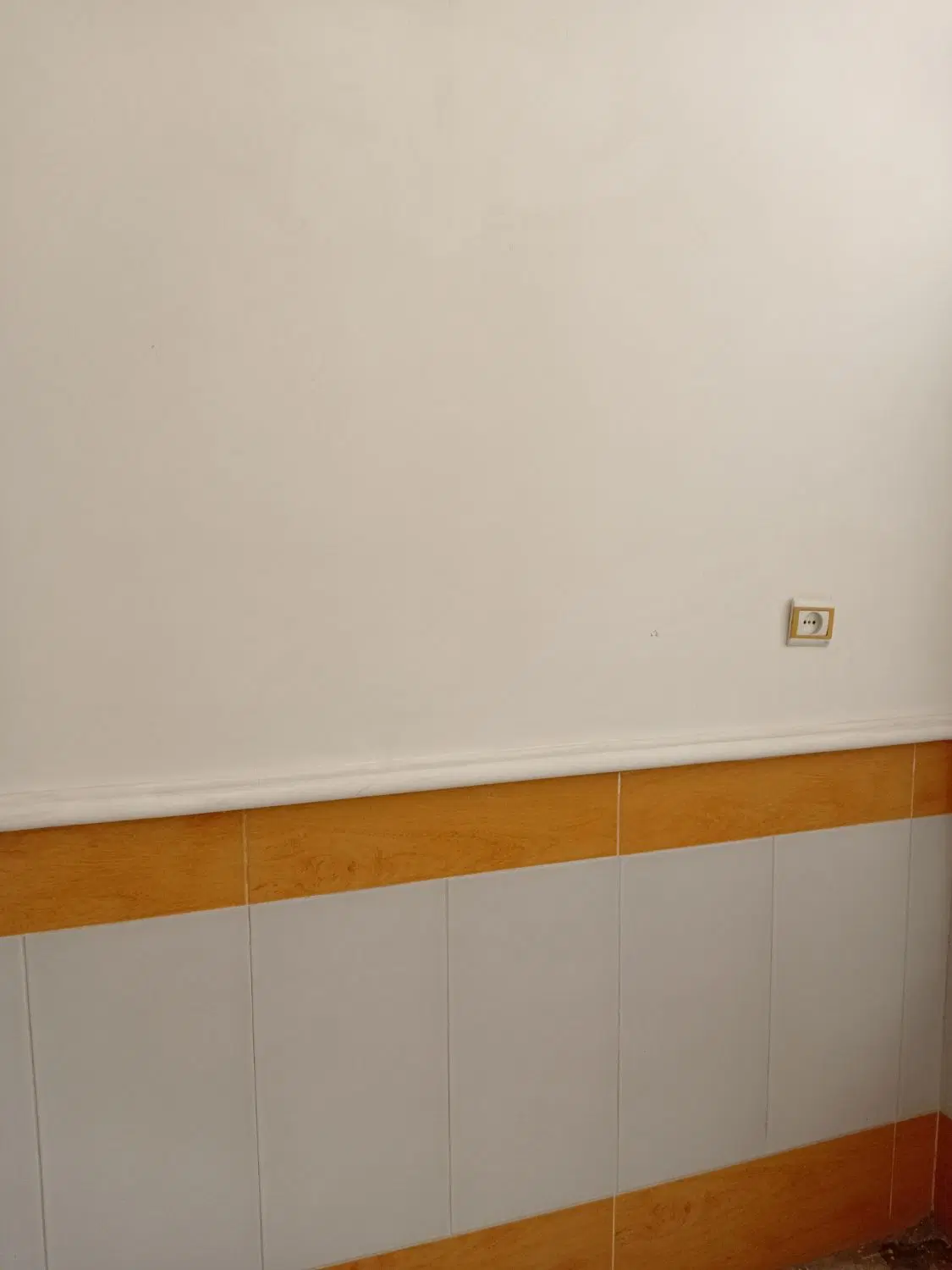 زیرزمین 110متری گلخانه ای