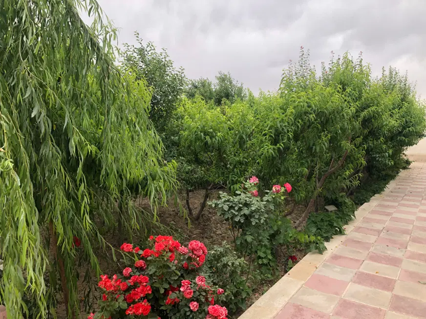 ۲۹۲ متر باغچه چهاردیواری بهترین لوکیشن شاهدشهر