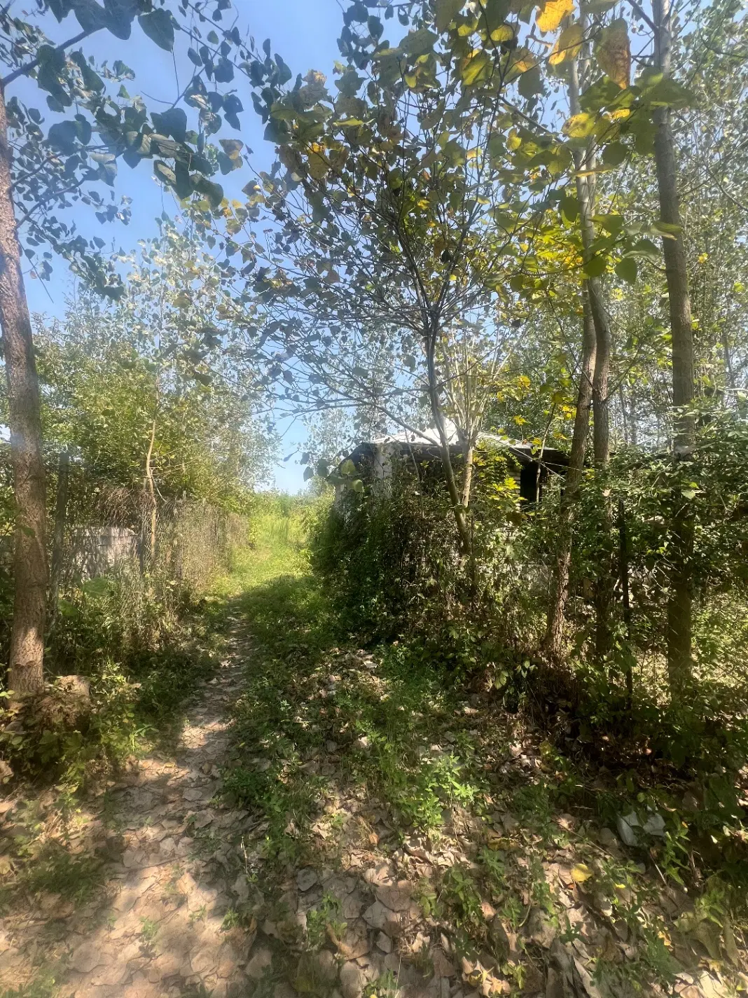 زمین ۴۰۲م.روستای چوبه ،چسبیده به شهر