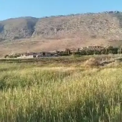 ۲هزار متر زمین کشاورزی دشتروم