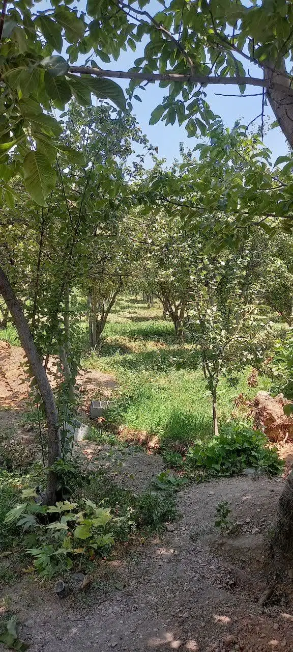 شهر اشترجان باغ ۶۳۰متر